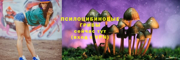 MDMA Premium VHQ Карталы