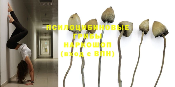 скорость Касимов